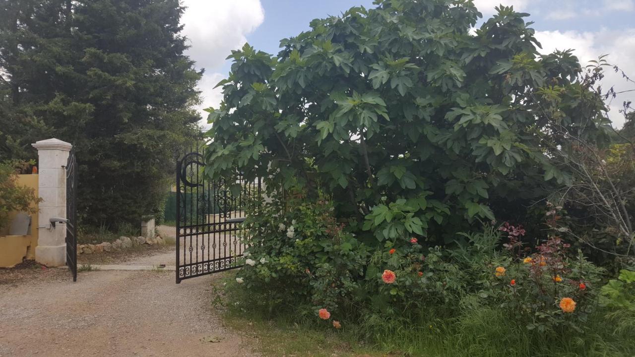 La Villa Provencale Lorgues Exterior photo